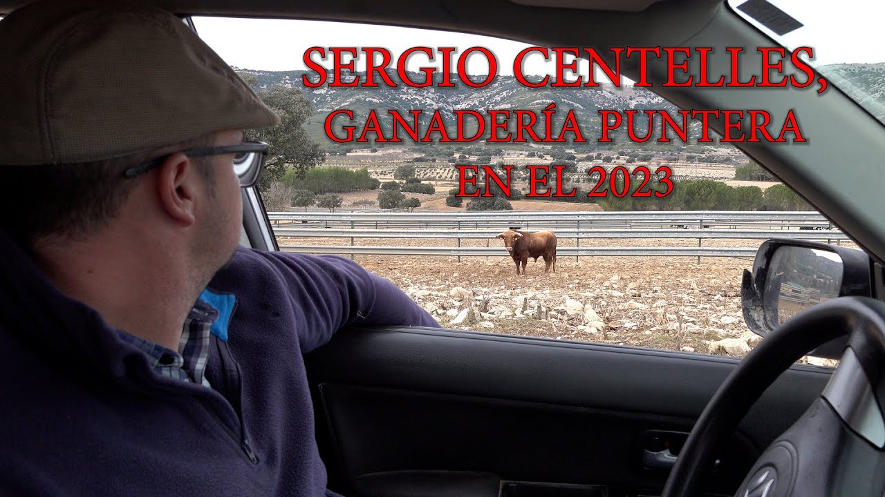 SERGIO CENTELLES, GANADERÍA PUNTERA EN EL 2023
