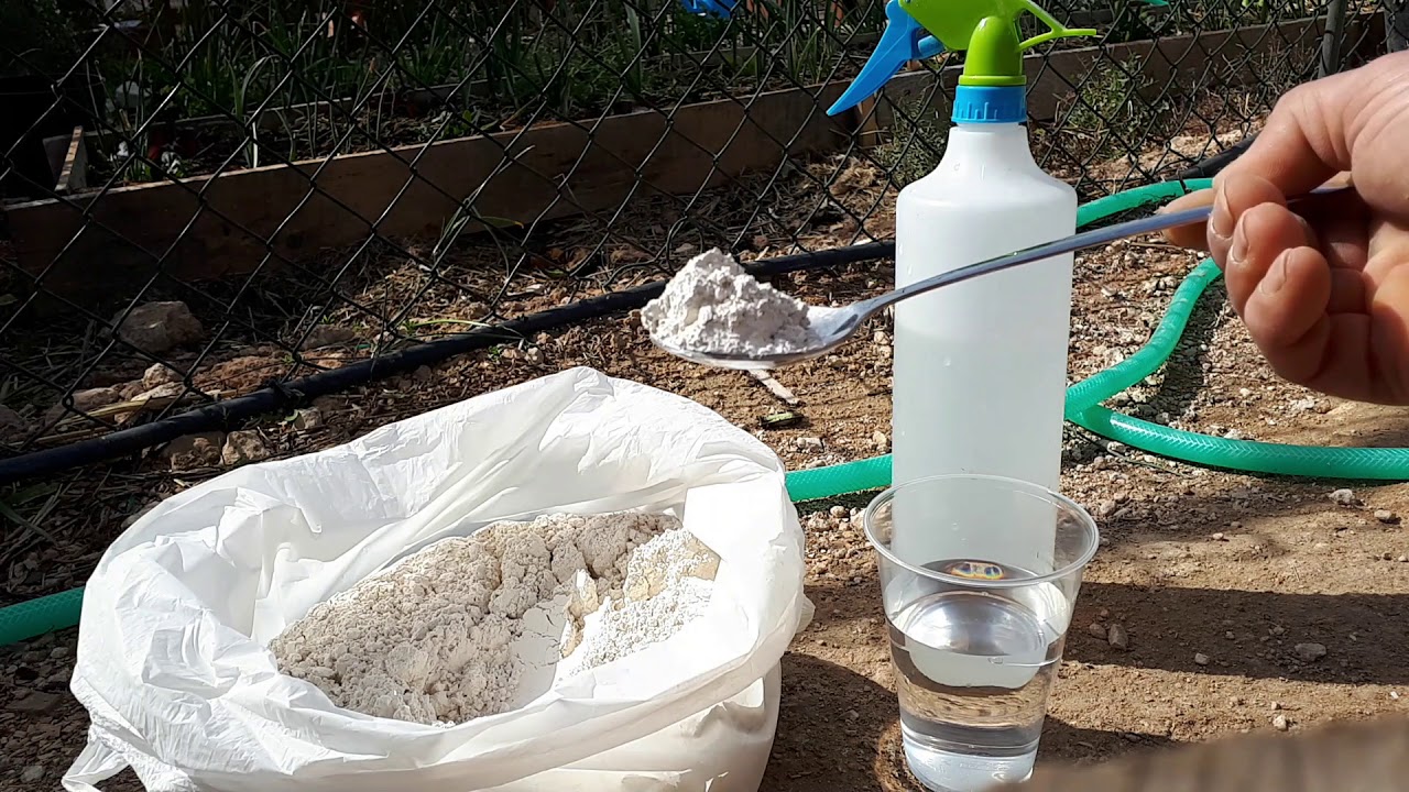 Tierra de Diatomeas Micronizada Disolución con Agua/Dosis para Fumigar 100% Natural Huerto y Jardín