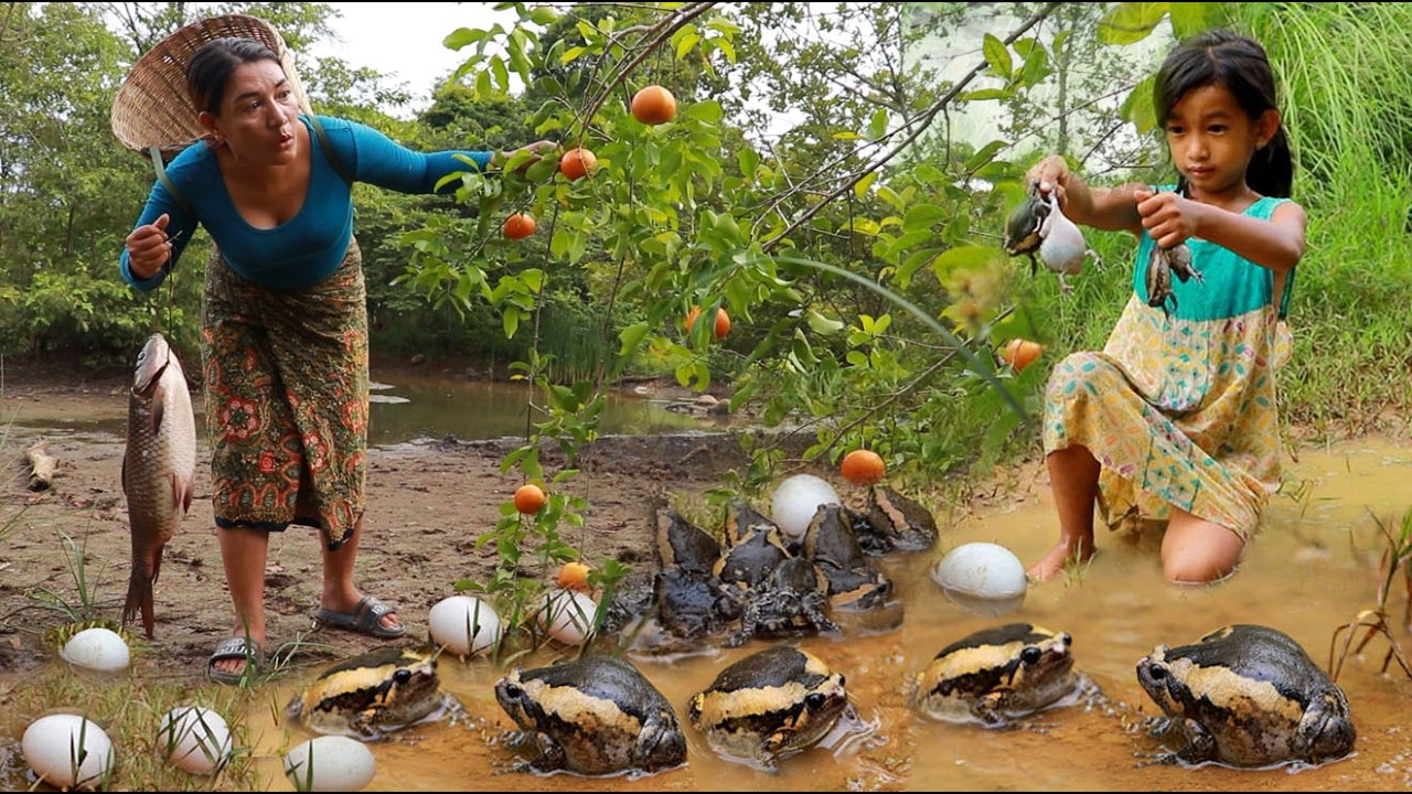 Catch bullfrogs & pick orang fruit/ Cooking bullfrogs spicy with eggs & Steamed fish recipe +4food