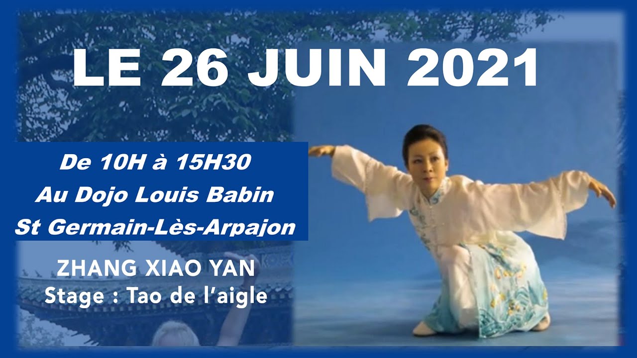 Stage du maitre ZHANG XIAO YAN - Reportage