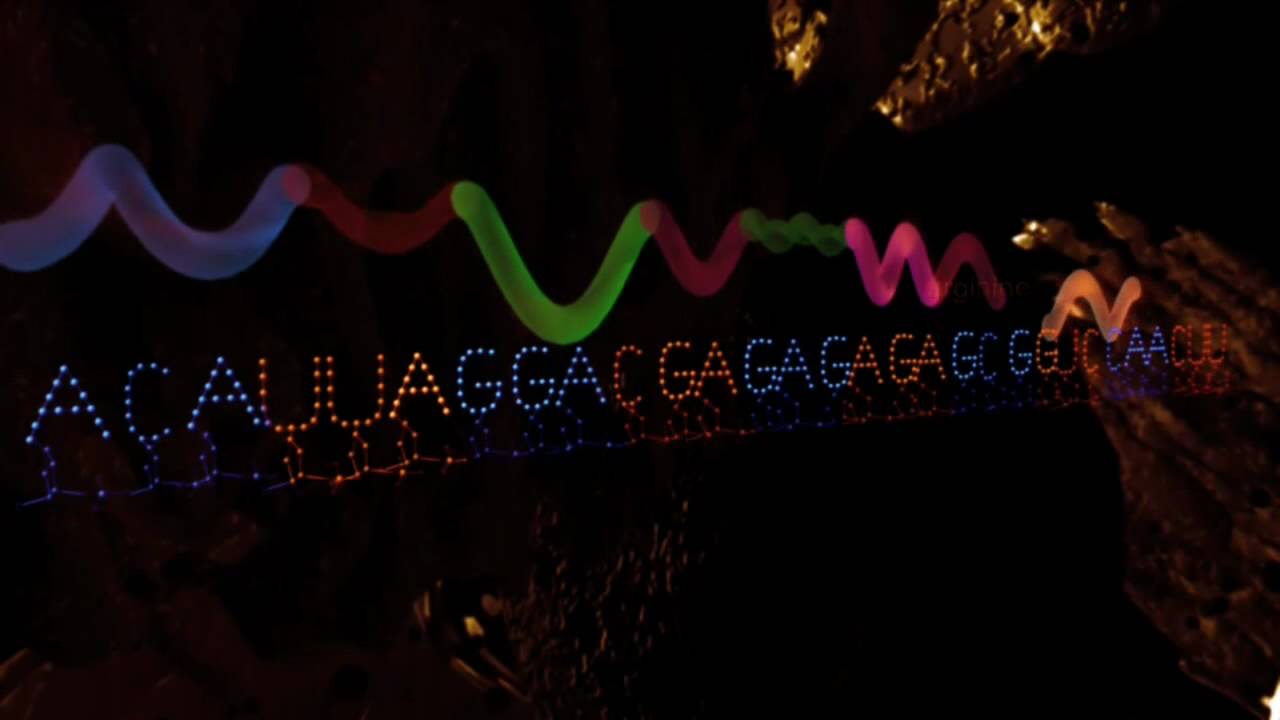 Facts Of Evolution: The Molecules Of Life