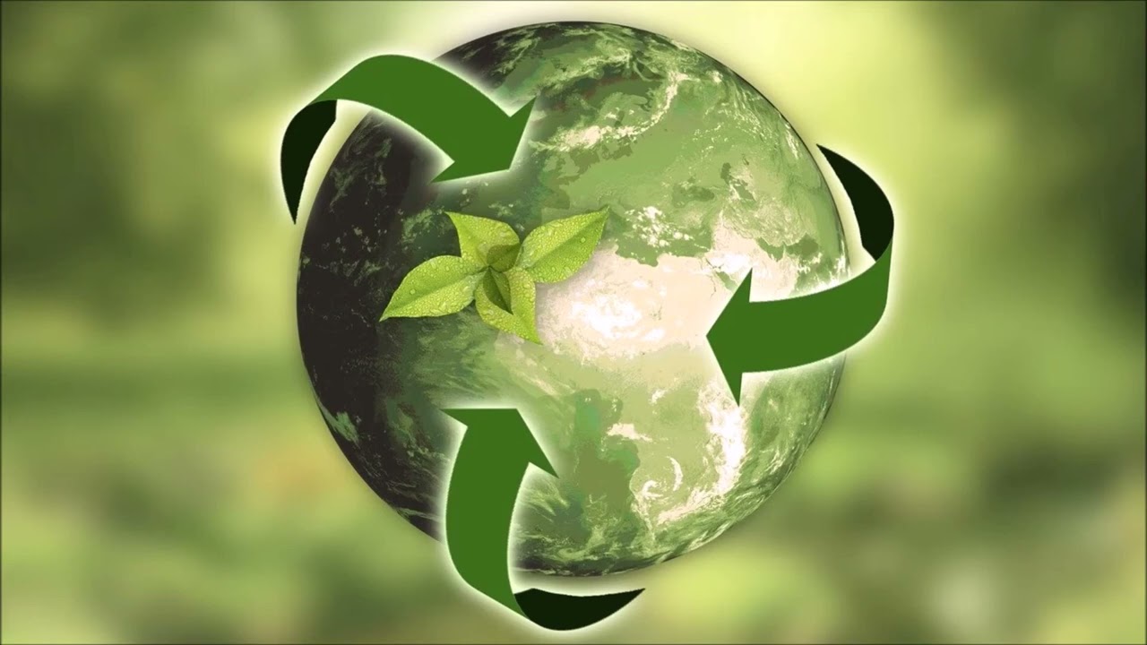 #Vystopie - Der Schmerz der Veganer, in nur 1 Minute erkl&auml;rt 😑
