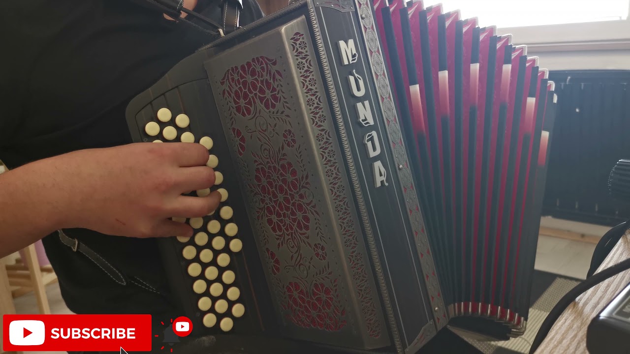 POLKAHOLIKI - BELA ROŽA (DIATONIČNA HARMONIKA)