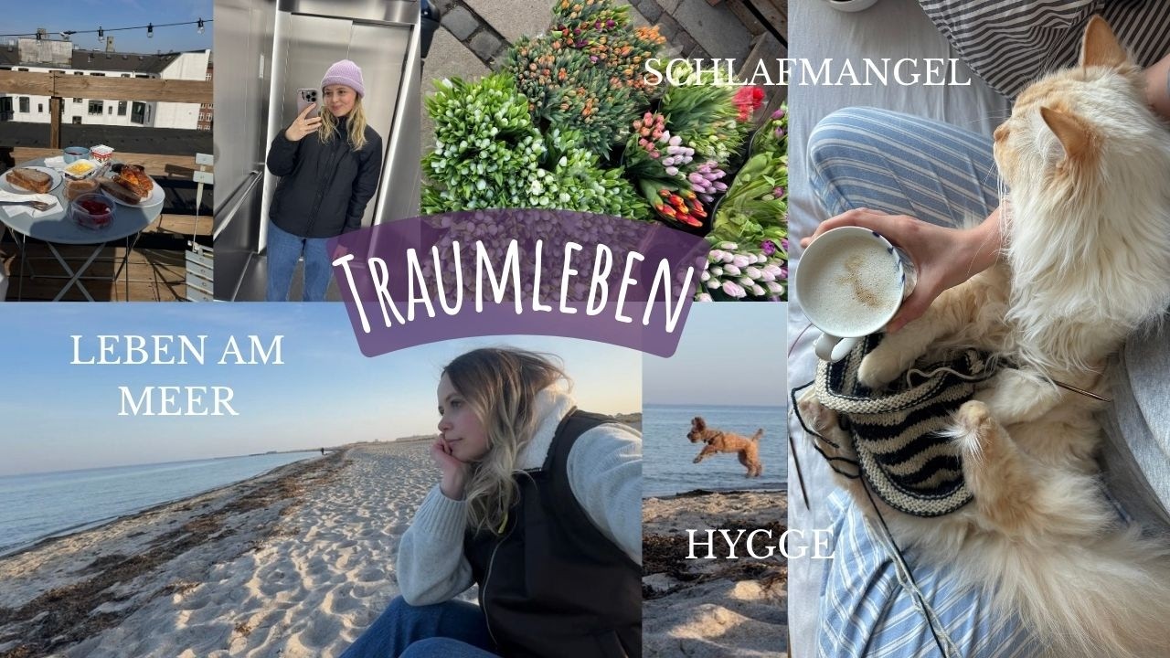 ICH LEBE MEINEN TRAUM?! I Vlog 95