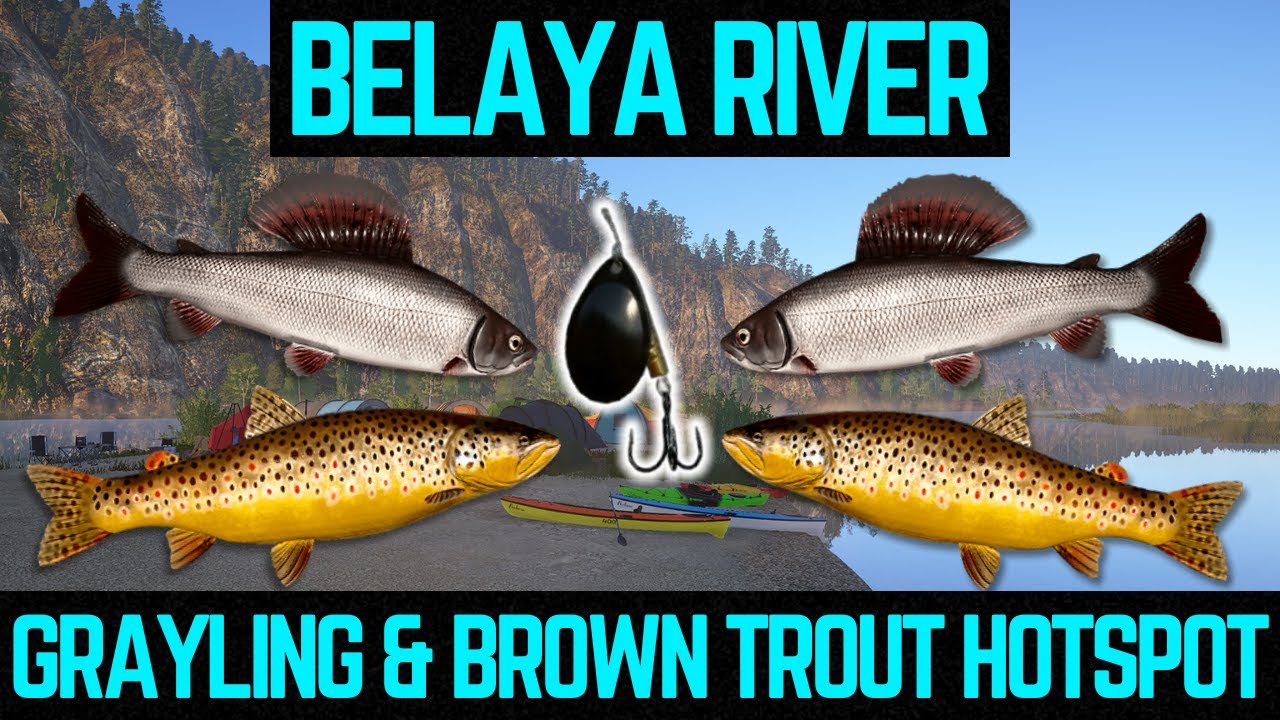 Russian Fishing 4 Grayling & Brown Trout HOTSPOT (Belaya River)