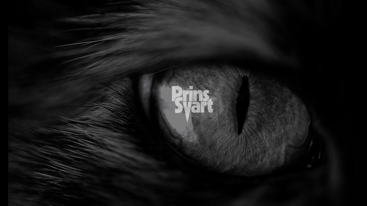 Prins Svart - Vargtimmen (Lyric)