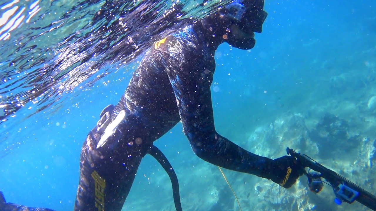 🐙Βρήκαμε ΤΕΡΑΣΤΙΟ θηλυκό ΧΤΑΠΟΔΙ να προσέχει τα ΑΥΓΑ του! - HUGE female OCTOPUS protecting its EGGS!