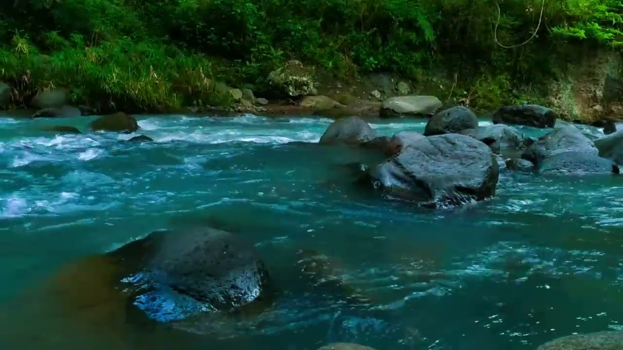 Gentle Stream in the Woods – Nature River Sounds for Relaxation