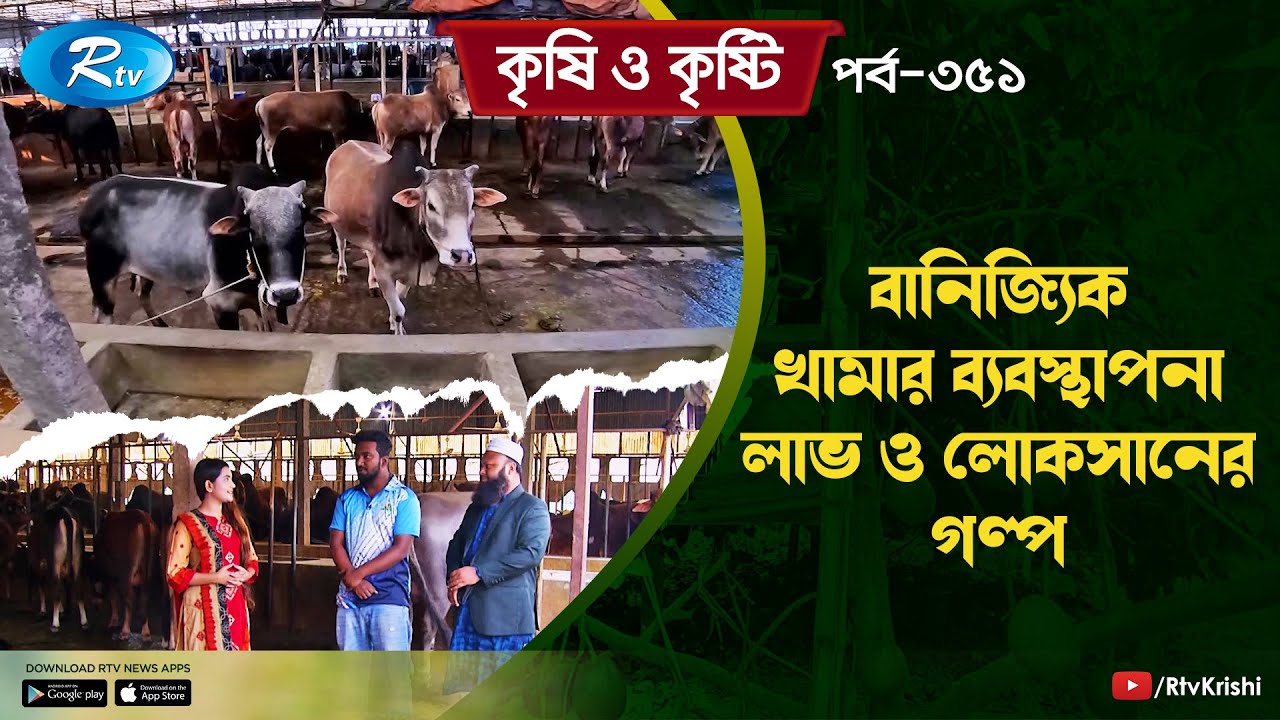 কিশোরগঞ্জের করিমগঞ্জ উপজেলায় বানিজ্যিক খামার ব্যবস্থাপনা ও লাভ লোকসানের গল্প | Krishi O Kristi