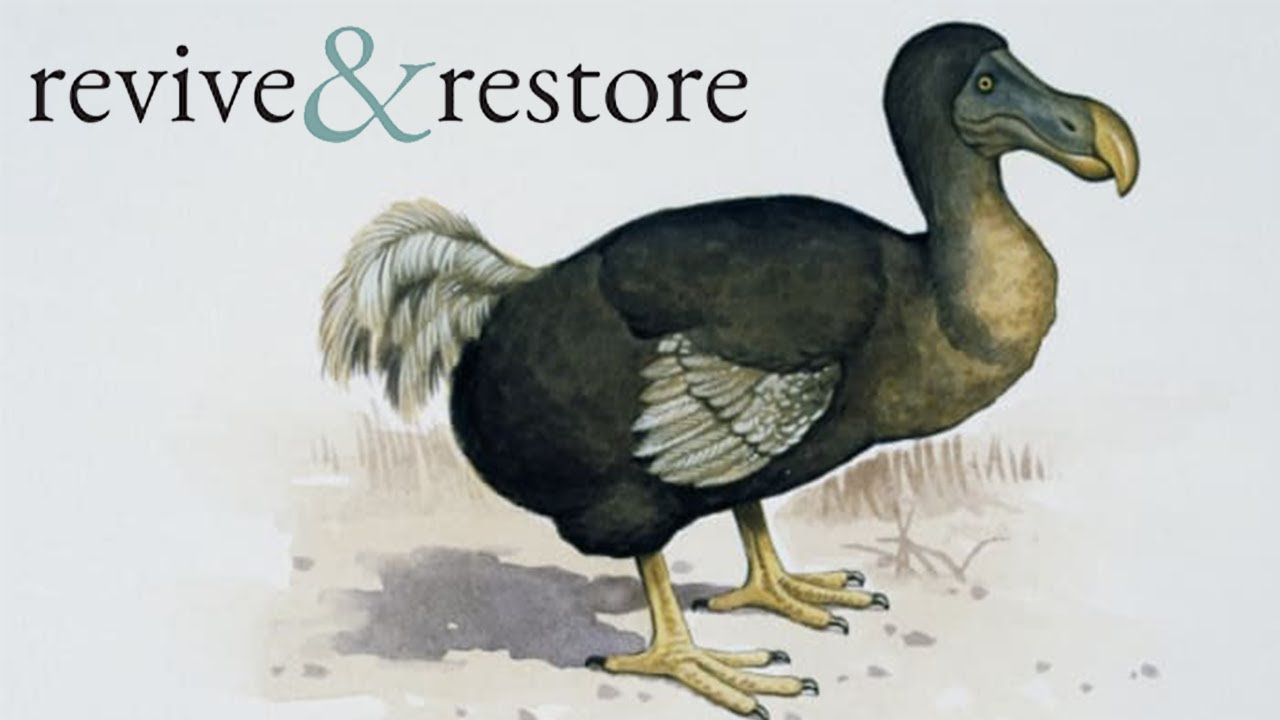 How To Bring Back The Dodo - De-extinction biologist Ben Novak