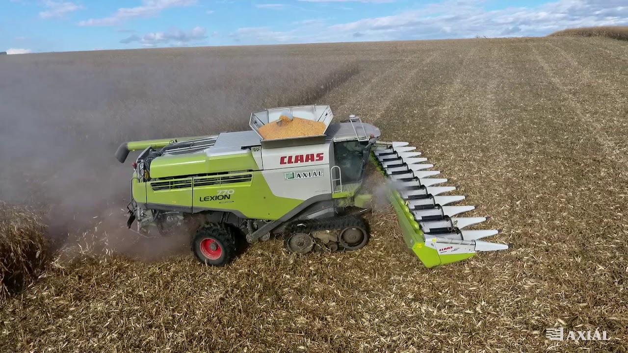 CLAAS Lexion 770 kukoricában 12 soron