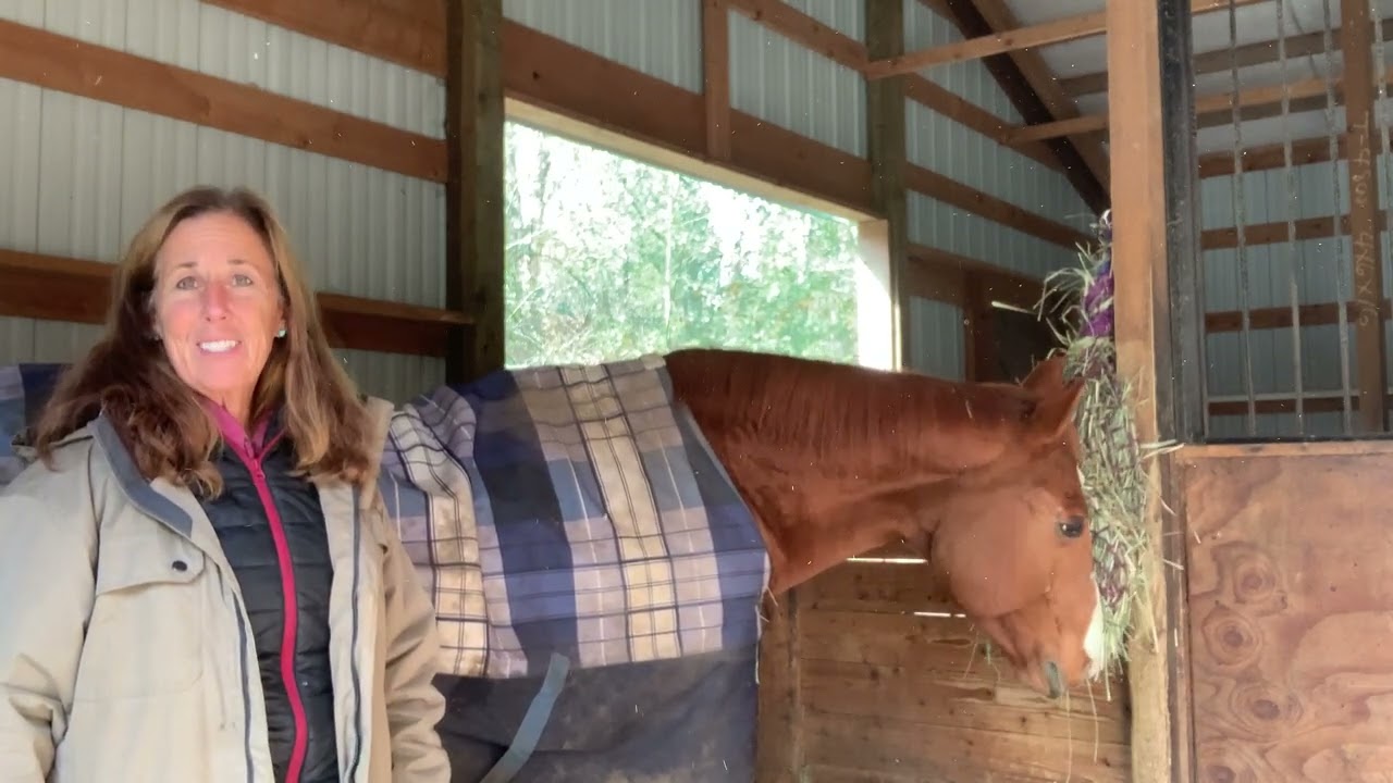 Do you put blankets on your horses in the winter?