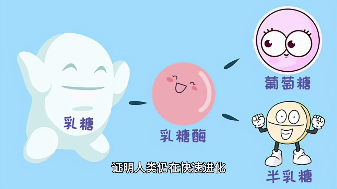 快读《进化的秘密》  极端环境的生存智慧   第3集