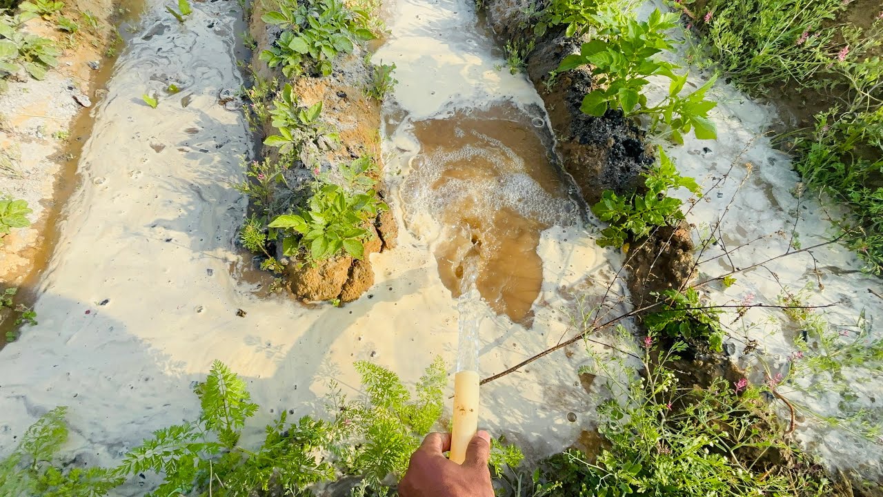 Day-60aaj mene dea apni sbjeo me pani or prmver gya vapic gaav dekho ab kb ayega 