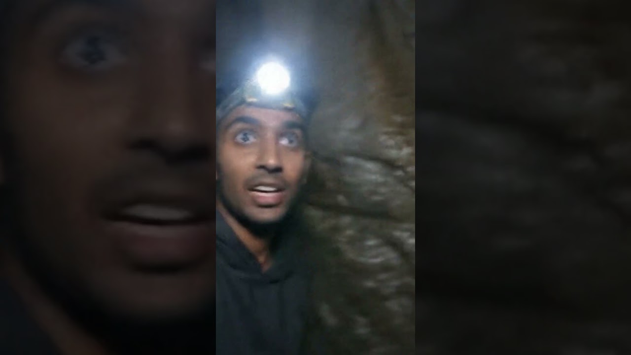 Real Hanuman? This Clip Has Everyone Talking #shorts
