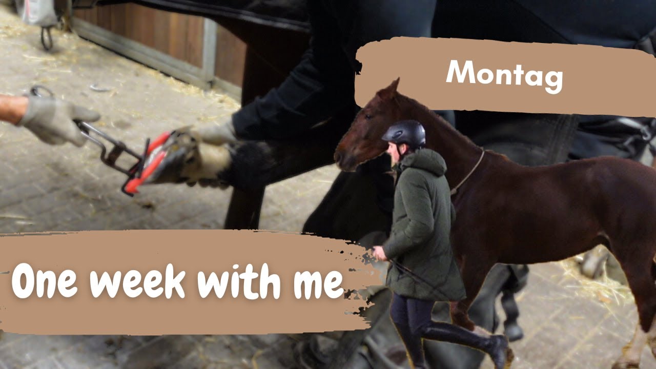 One week with me - Schmieden mit Günter