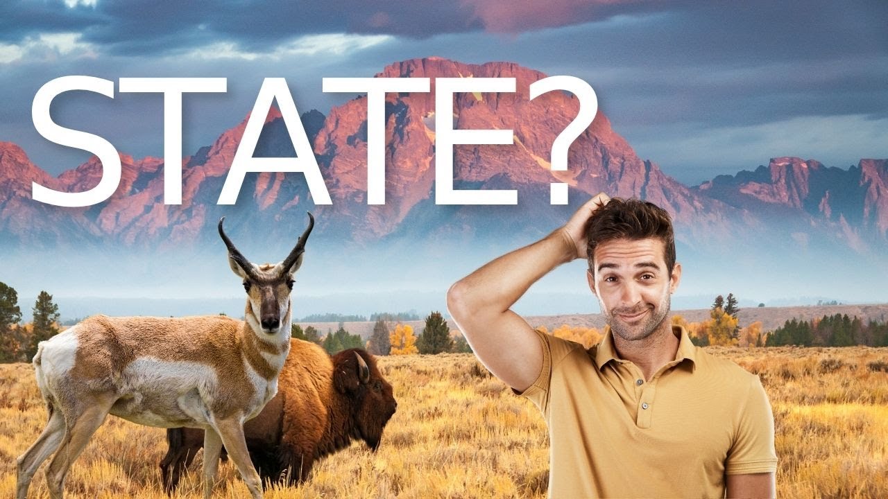 Beyond the Map’s Edge: State Solves & My Stag Theory” 🎥 Part 1: