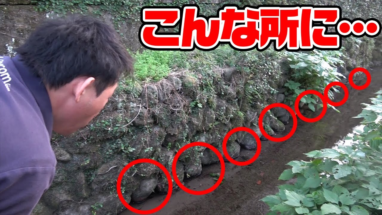 足をつかんで引っこ抜く？この穴から食材が出て来る瞬間