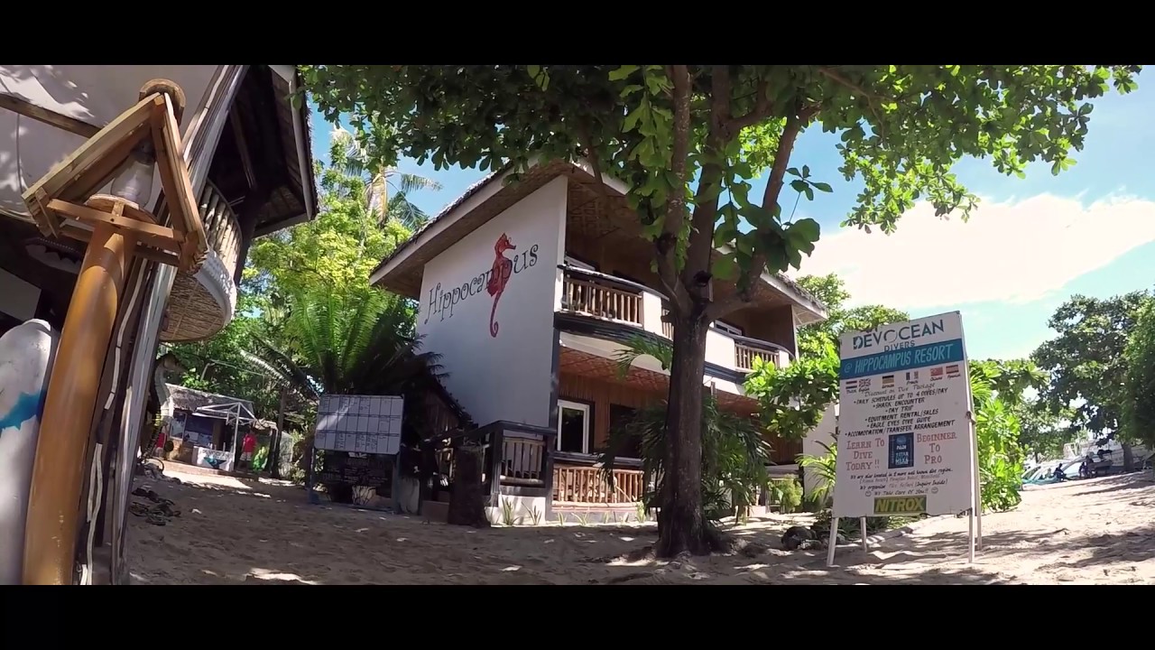 Devocean Divers Malapascua 2017