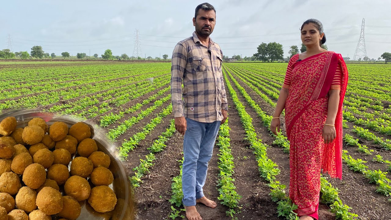 મગફળી મા મુડા અને ફુગનો સફાયો  નયના ગળગળીયા લાડવા બનાવીયા