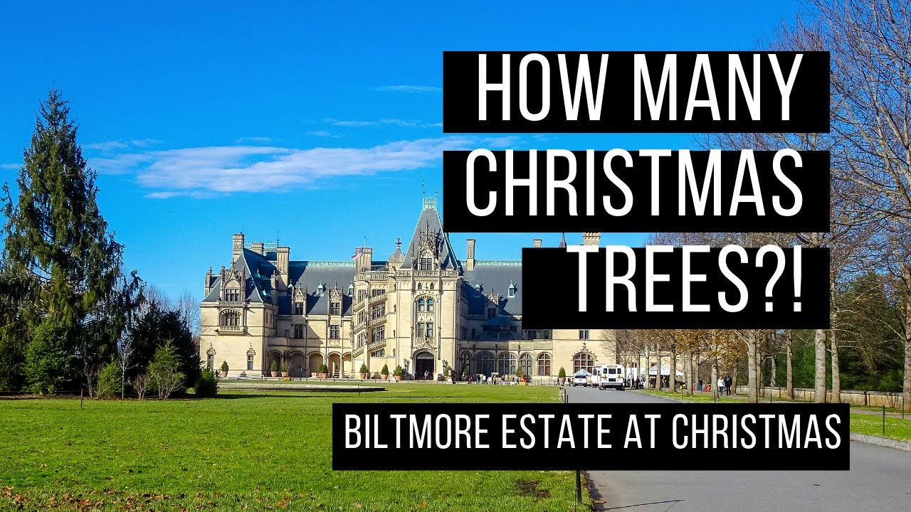 HOW MANY CHRISTMAS TREES🎄 A Biltmore Christmas - Biltmore Estate Christmas Asheville North Carolina