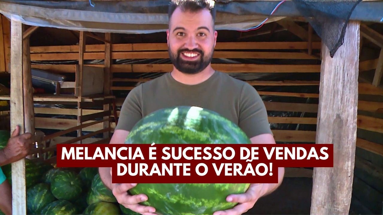 Melancia é sucesso de vendas durante o verão