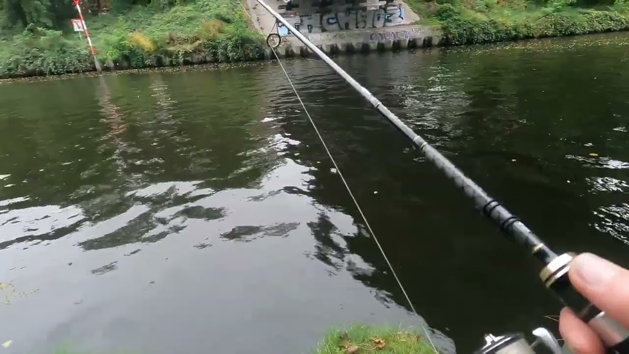 Auf Barsche am Teltowkanal in Berlin