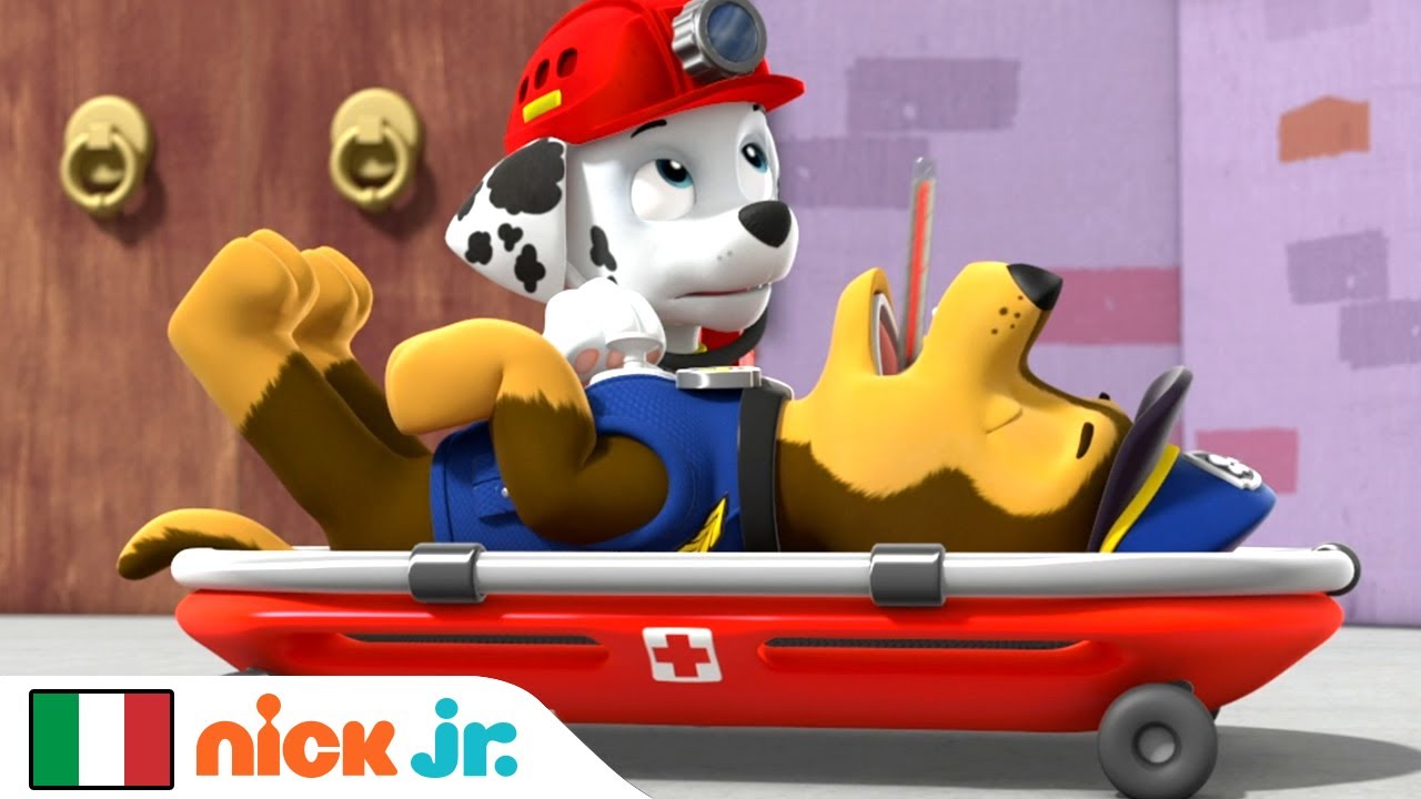 PAW Patrol - La Squadra dei Cuccioli | Chase Si Ammala! | Nick Jr.