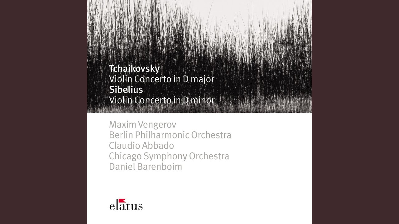 Violin Concerto in D Minor, Op. 47: II. Adagio di molto