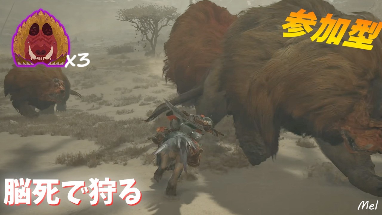 【モンハンワイルズ参加型】群れクエ周回！ドシャグマメインで狩る！協力者求む👍