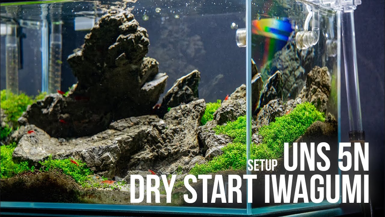 UNS 5N Iwagumi Nano Tank Aquascape Tutorial - Dry Start Method Aquarium Setup