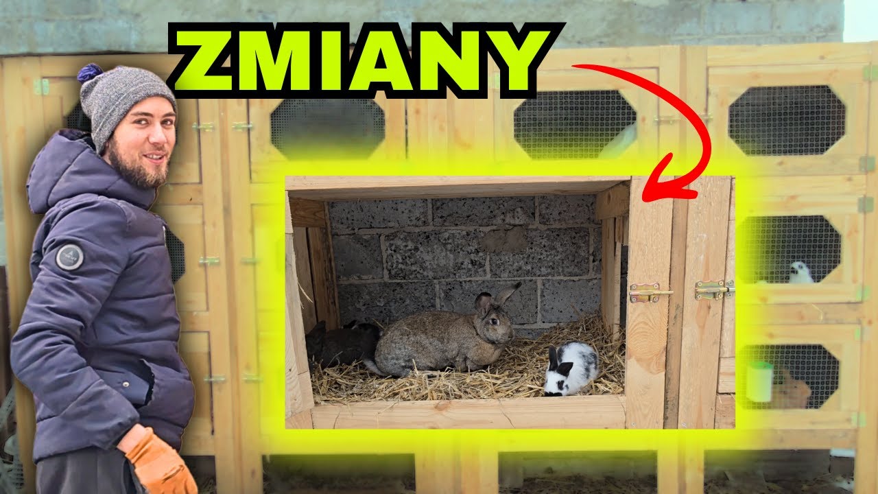 Nowe klatki i zmiany w hodowli królików