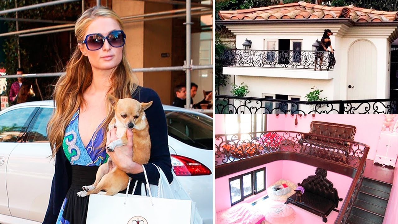 THE MOST EXPENSIVE DOG HOUSES In The World