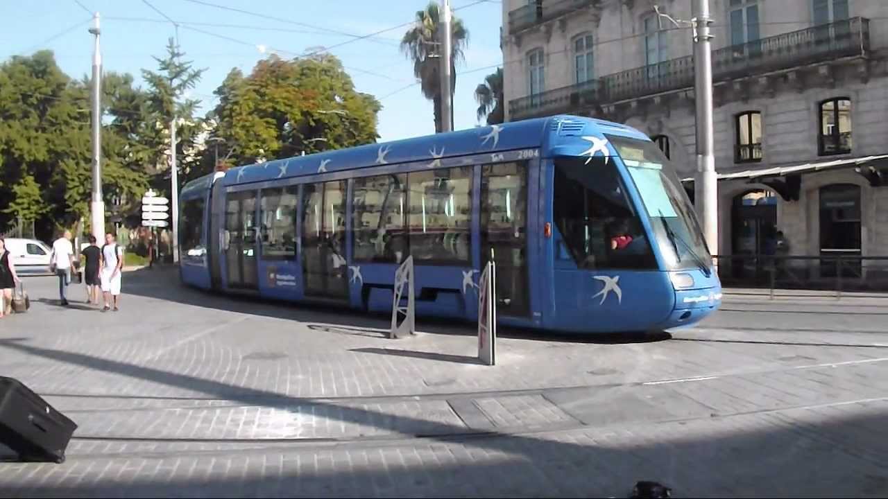 TRAMWAY DE MONTPELLIER / MONTPELLIER TRAM (TAM)