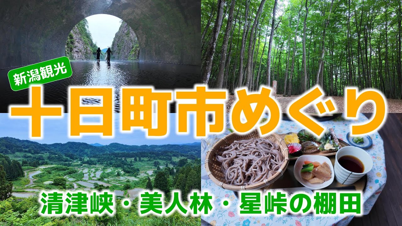 【新潟観光】十日町市めぐり　清津峡・美人林・星峠の棚田を周ります