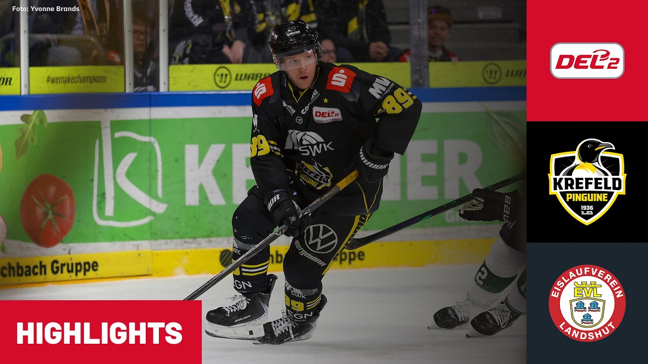 DEL2: Krefeld Pinguine vs. EV Landshut | Highlights
