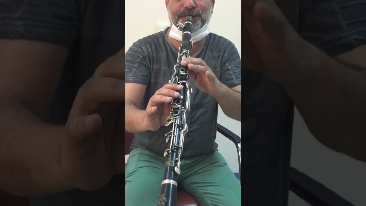 Ödev amaçlı örnek parça: Hasretinle yandı gönlüm..