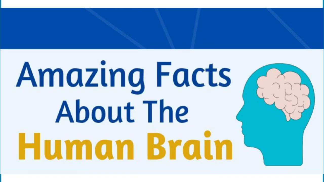World Brain Day Awareness, on the theme: Brain Health and Prevention