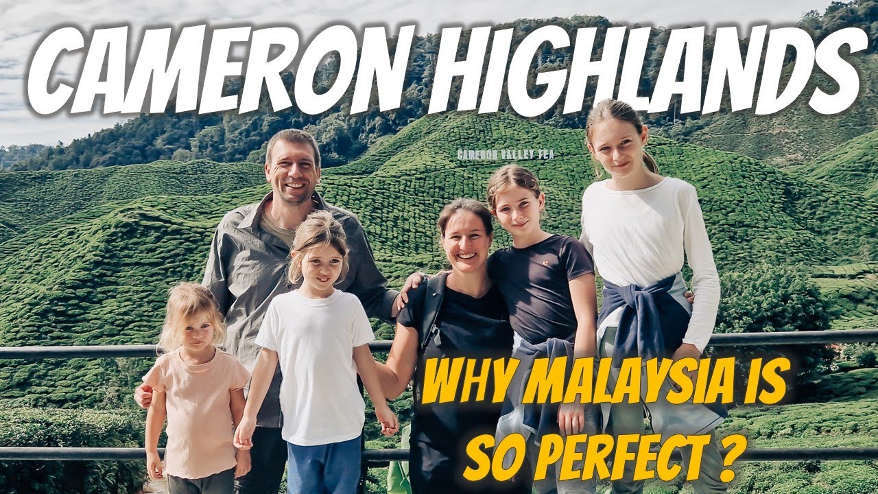 Première impression de Cameron Highlands 🇲🇾, cela vaut-il la peine de s'éloigner de Kuala Lumpur ?
