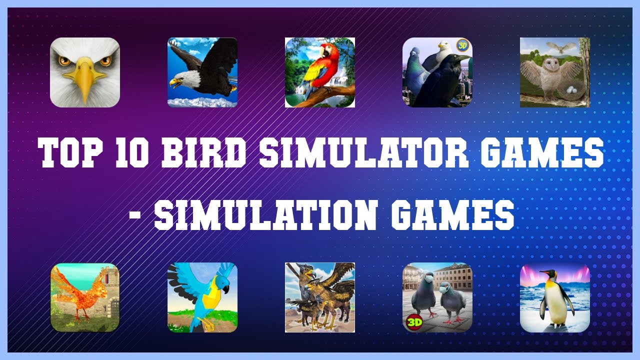 Top 10 Bird Simulator Games Android Games