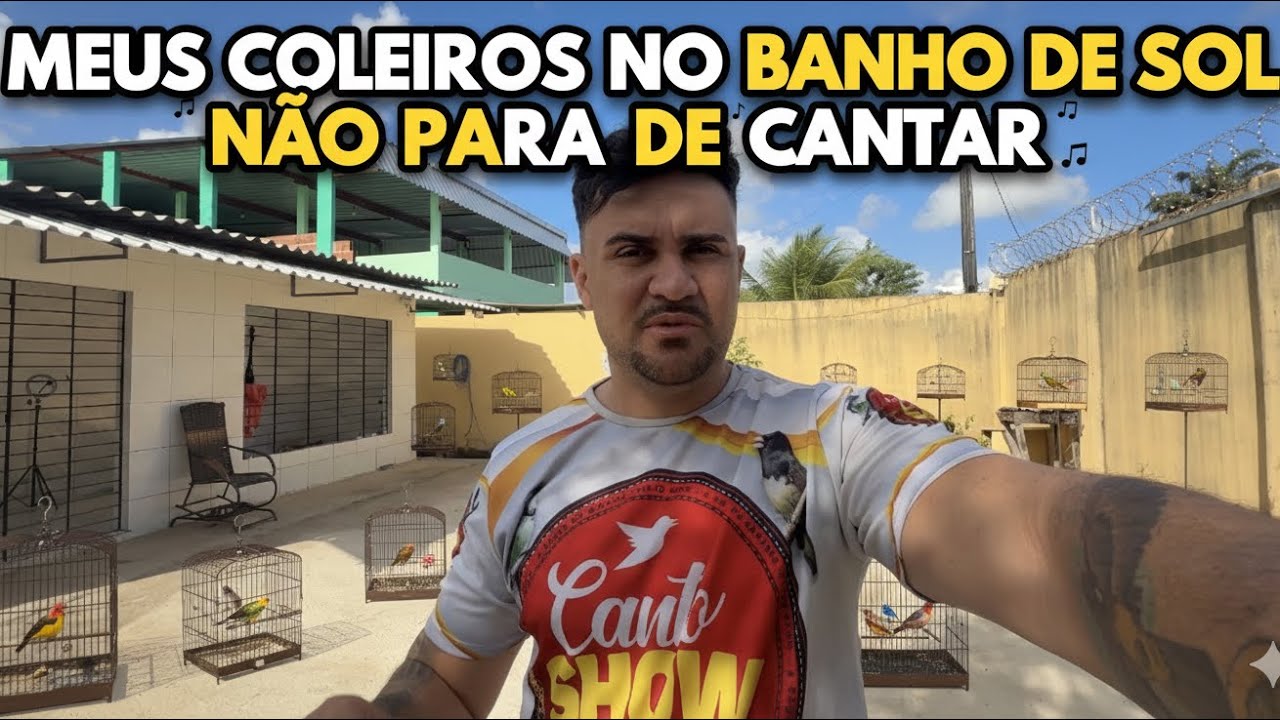 MEUS COLEIRO NO BANHO DE SOL NÃO PARA DE CANTAR