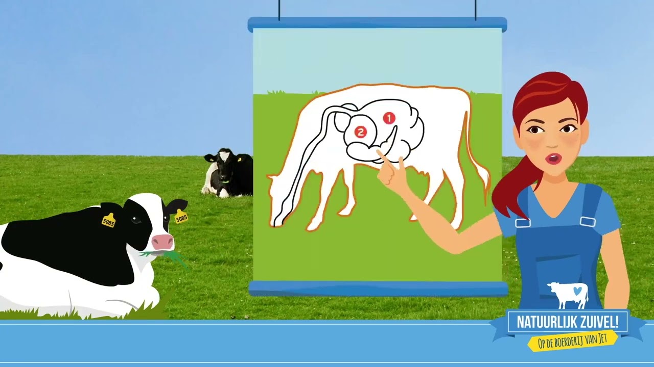 Op de boerderij van Jet Vlog 2 'Waar komt zuivel vandaan'? maart 2025