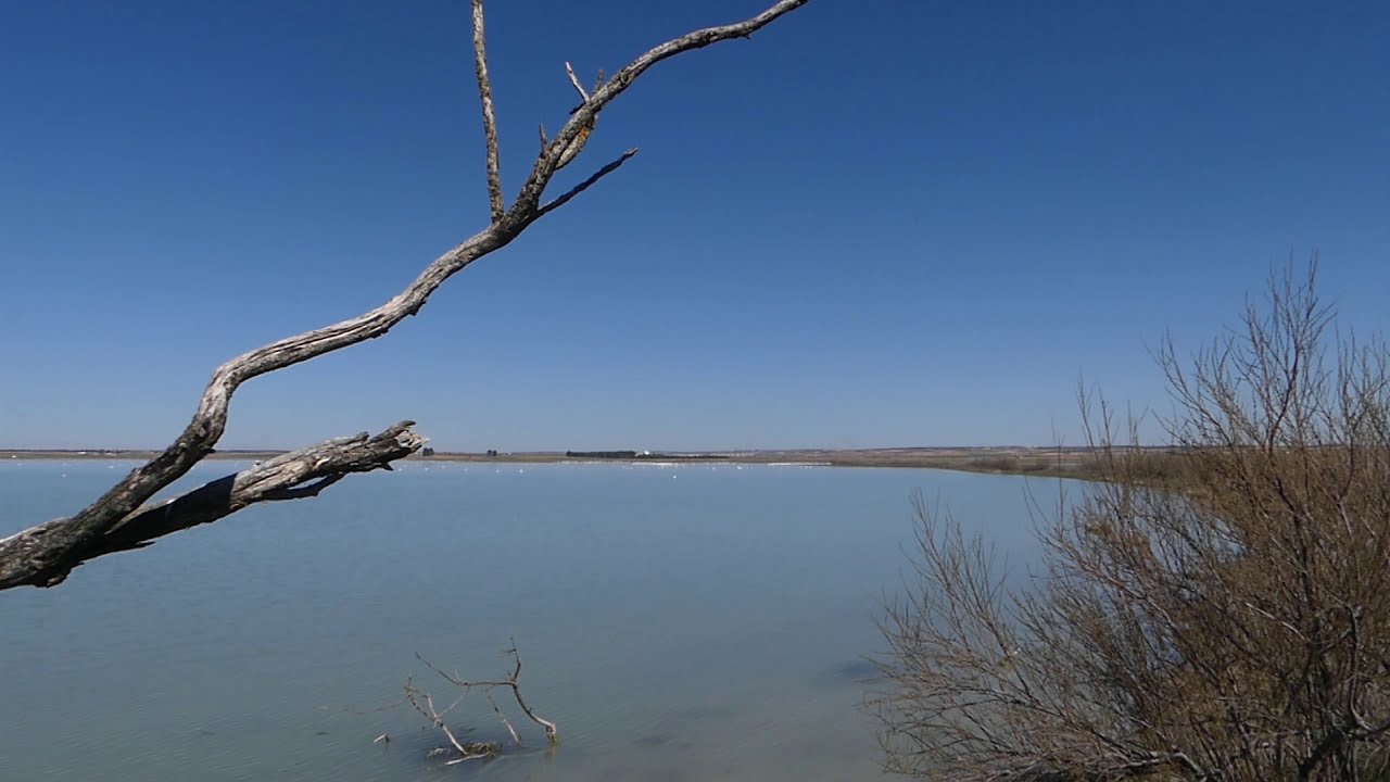 Laguna de Manjavacas - Encanto nº 1