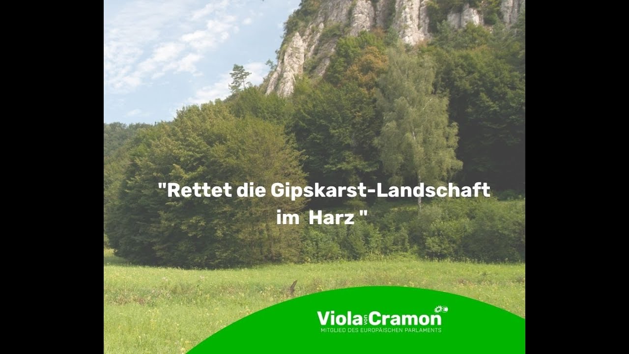 Rettet den Harzer Gipskarst