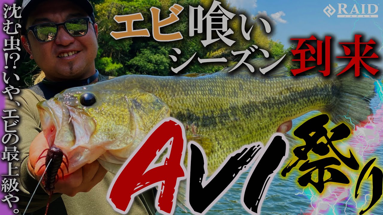 デカバス連打‼エビ喰い最終兵器『AVI』を使いこなせ！【RAID JAPAN】