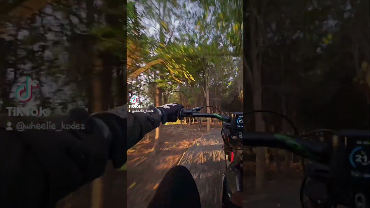 #surronwheelie