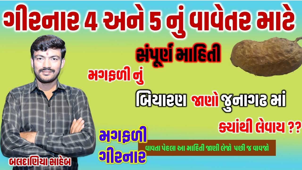ગીરનાર 4 અને 5  મગફળી ની સંપૂર્ણ માહિતી @MANISHBALDANIYA