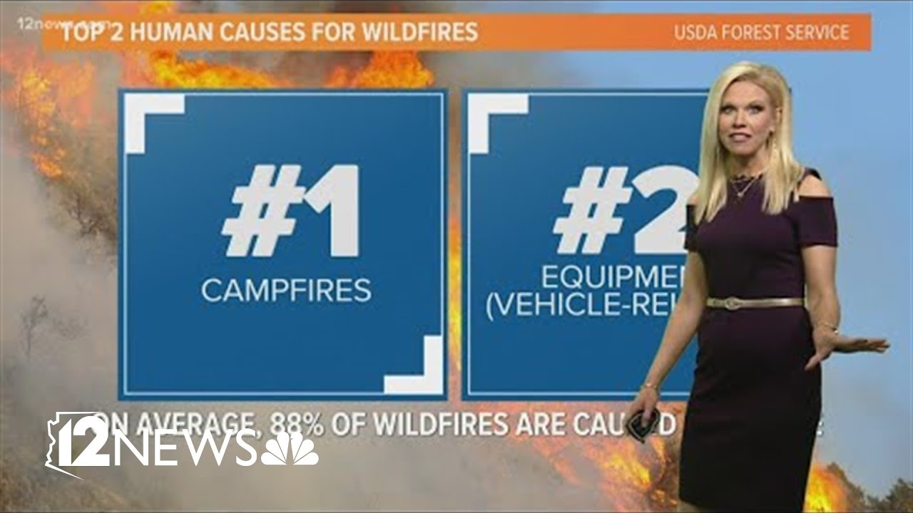 Arizona sees first wildfire red flag warning of 2022