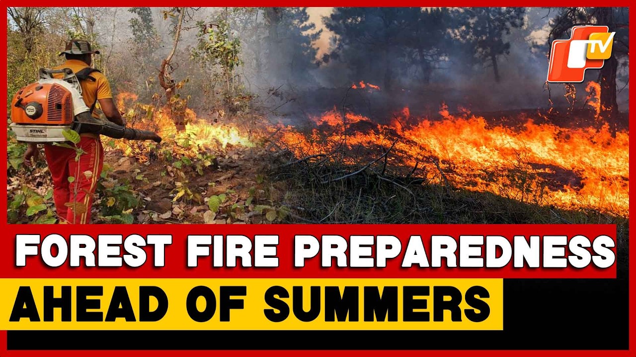 Forest Department Steps Up Summer Fire Preparedness In Odisha
