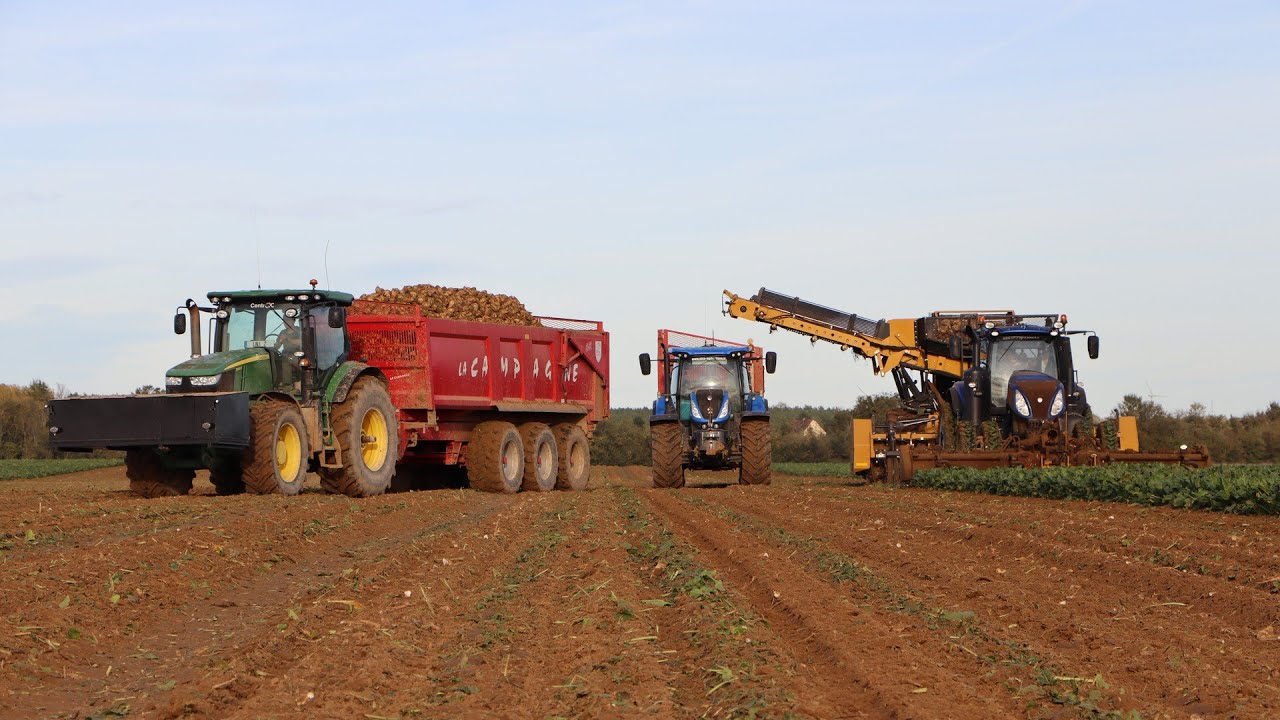 🇫🇷 Alloway FH 12R45 & New Holland T8.410 Blue Power | Arrachage de betteraves en 12 rangs 💨